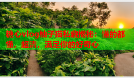 糖心vlog柚子猫私藏揭秘：懂的都懂，超清，满足你的好奇心