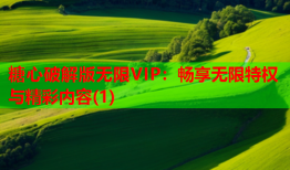 糖心破解版无限VIP：畅享无限特权与精彩内容(1)