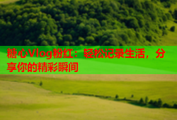 糖心Vlog粉红：轻松记录生活，分享你的精彩瞬间