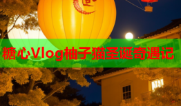 糖心Vlog柚子猫圣诞奇遇记