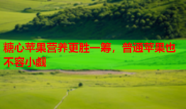 糖心苹果营养更胜一筹，普通苹果也不容小觑