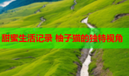 甜蜜生活记录 柚子猫的独特视角