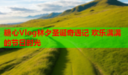 糖心Vlog林夕圣诞奇遇记 欢乐满满的节日时光