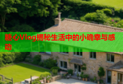 糖心Vlog揭秘生活中的小确幸与感动