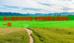 糖心的秘密旅程 发现甜蜜生活的每一刻