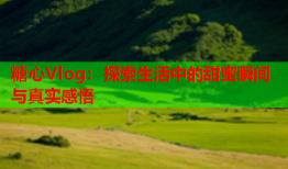 糖心Vlog：探索生活中的甜蜜瞬间与真实感悟