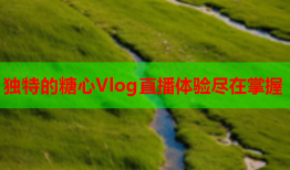 独特的糖心Vlog直播体验尽在掌握