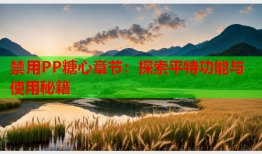 禁用PP糖心章节：探索平特功能与使用秘籍