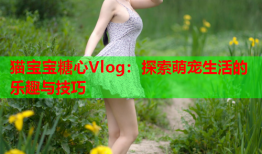 猫宝宝糖心Vlog：探索萌宠生活的乐趣与技巧