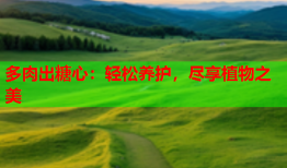 多肉出糖心：轻松养护，尽享植物之美