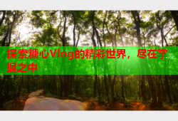 探索糖心Vlog的精彩世界，尽在掌握之中