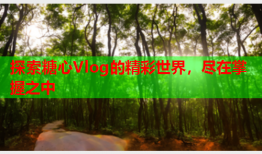 探索糖心Vlog的精彩世界，尽在掌握之中