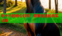 彭十六的糖心日常：甜蜜生活的真实记录