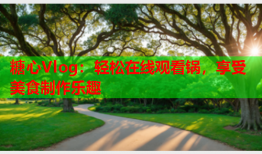 糖心Vlog：轻松在线观看锅，享受美食制作乐趣