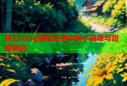 糖心Vlog揭秘生活中的小确幸与甜蜜瞬间