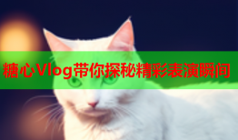 糖心Vlog带你探秘精彩表演瞬间