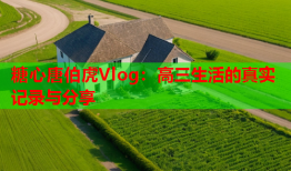 糖心唐伯虎Vlog：高三生活的真实记录与分享