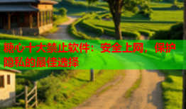 糖心十大禁止软件：安全上网，保护隐私的最佳选择