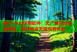 糖心Vlog禁用软件：无广告高清追剧神器，随时畅享无限观看体验