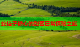 蛇信子糖心的甜蜜日常探秘之旅