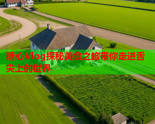 糖心Vlog探秘美食之旅带你走进舌尖上的世界