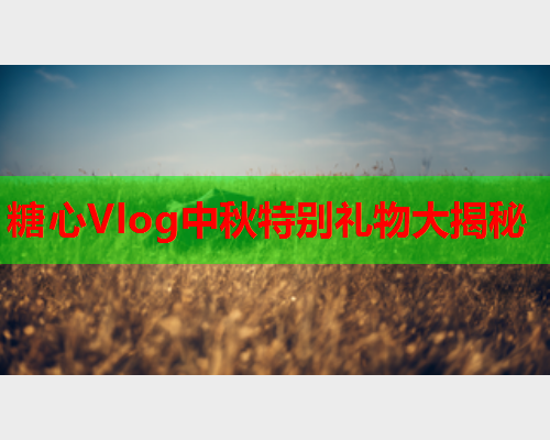 糖心Vlog中秋特别礼物大揭秘