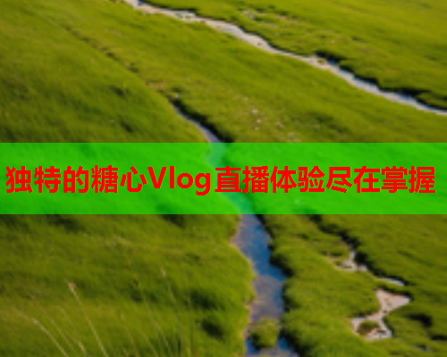 独特的糖心Vlog直播体验尽在掌握