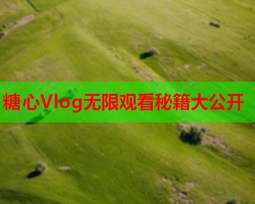 糖心Vlog无限观看秘籍大公开