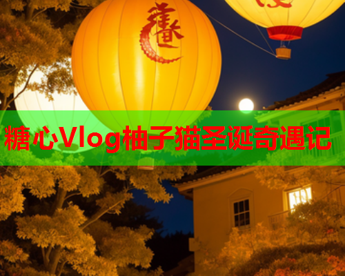 糖心Vlog柚子猫圣诞奇遇记