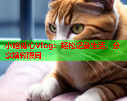 小晗糖心Vlog：轻松记录生活，分享精彩瞬间
