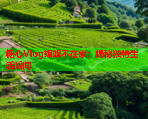 糖心Vlog姐姐不在家：揭秘独特生活瞬间