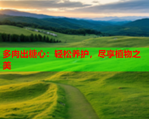 多肉出糖心：轻松养护，尽享植物之美