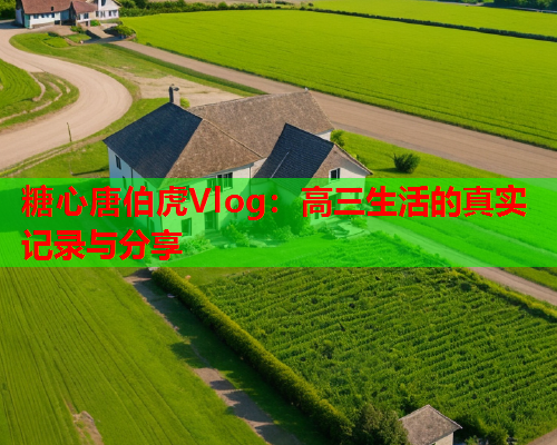 糖心唐伯虎Vlog：高三生活的真实记录与分享
