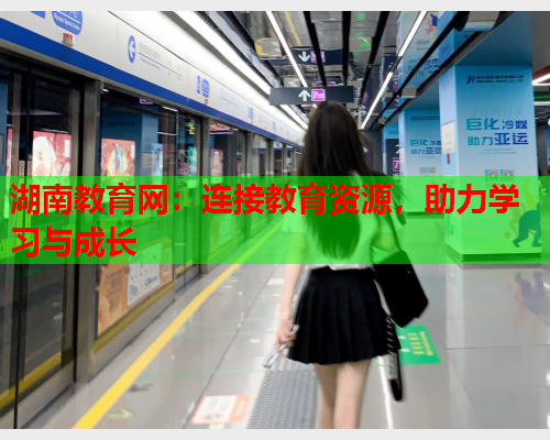 湖南教育网：连接教育资源，助力学习与成长